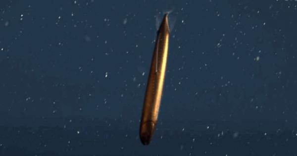 Изследователи от Калифорния заснеха изключително рядък вид дълбоководна риба в