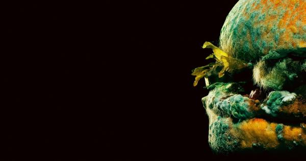 Храната може да служи като среда за растежа на бактериите