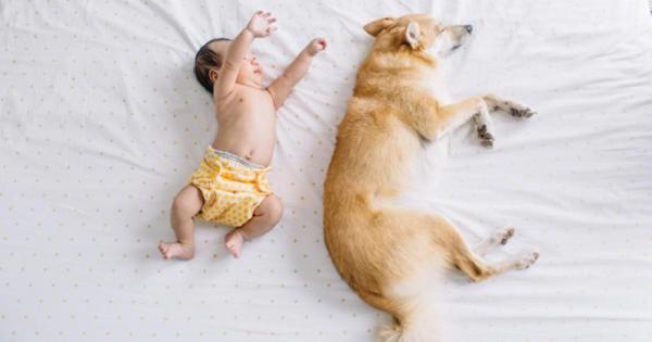 Ако сте опитвали всякакви техники и лекарства но все още