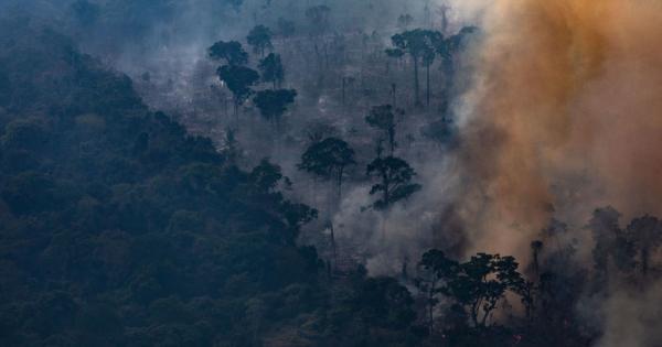 Екоразрушението в определени райони на амазонските гори е толкова голямо,