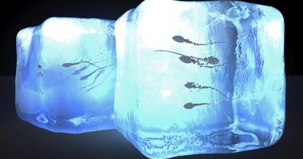 Жените замразяват яйцеклетки когато искат да отложат за известно време