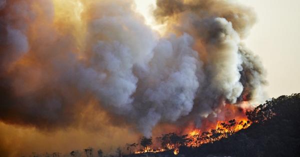 Опустошителните горски пожари, които бушуваха в Австралия през 2019 г.