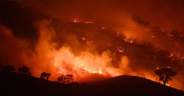 Безпрецедентните пожари в Австралия през 2019 а и 2020 а са погубили