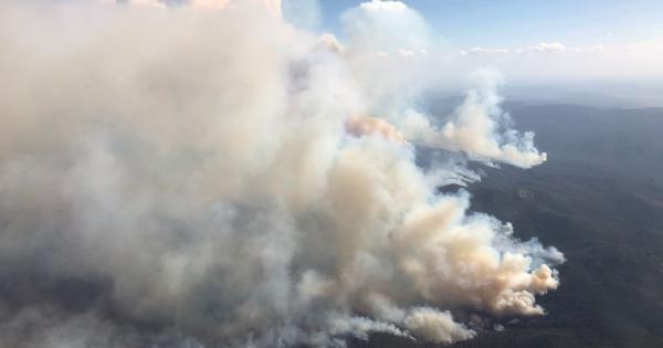 Изпепеляващото опустошение на австралийските пожари от т нар черно лято в