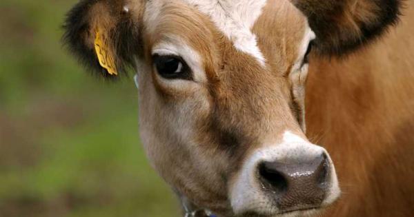 Биоинженерната компания SAB Biotherapeutics базирана в американския щат Южна Дакота