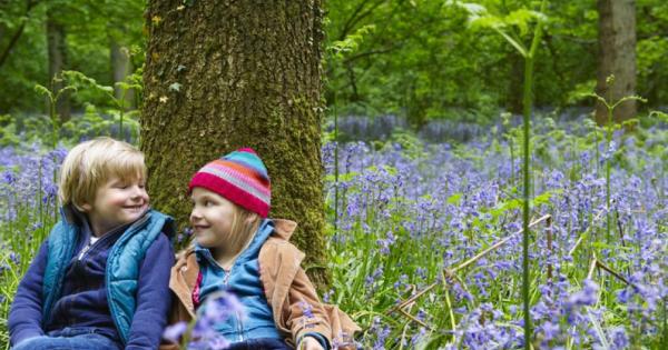 Историите за влюбванията на децата се възприемат от възрастните с