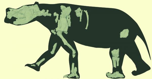 Учени откриха останките на древно четвърттонно торбесто животно което някога