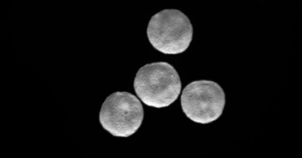 Учени успяха успешно да отгледат миниатюрно изкуствено сърце с размера