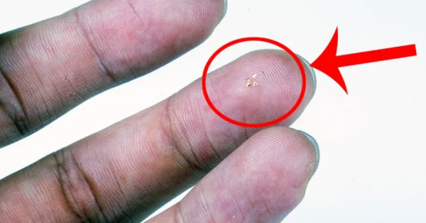 Инженерите и учените постоянно черпят вдъхновение от хората при разработката