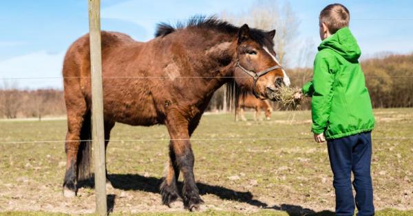 Училището може да научи децата не само да пишат четат