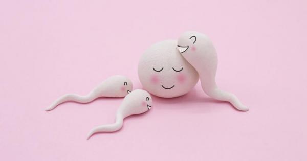 Британски биолози установиха че независимо какъв и изборът на жената