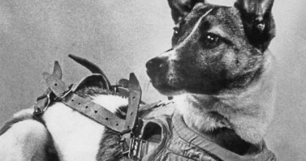 На 3 ноември 1957 г преди цели 65 години Съветският съюз