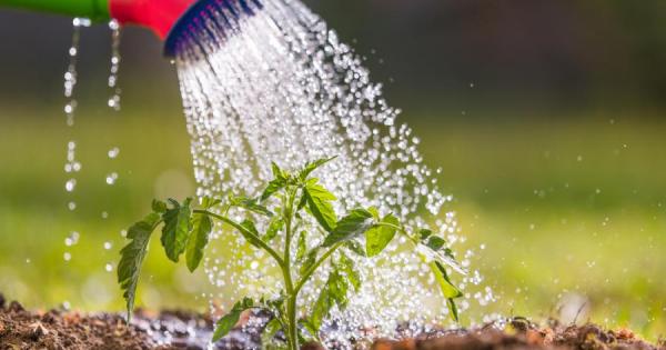 Пенсиониран учител и млад компютърен специалист живеели в съседни къщи