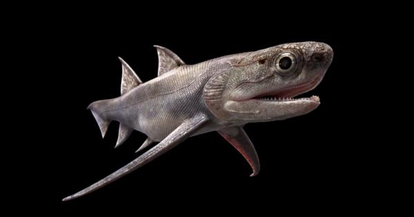 За хората и 99 8 процента от останалите гръбначни животни наличието