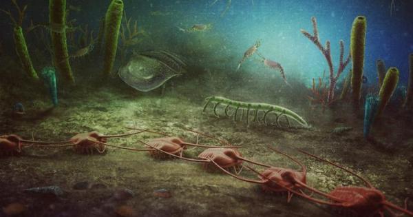 Любители палеонтолози откриха в Южна Франция едно от най богатите и