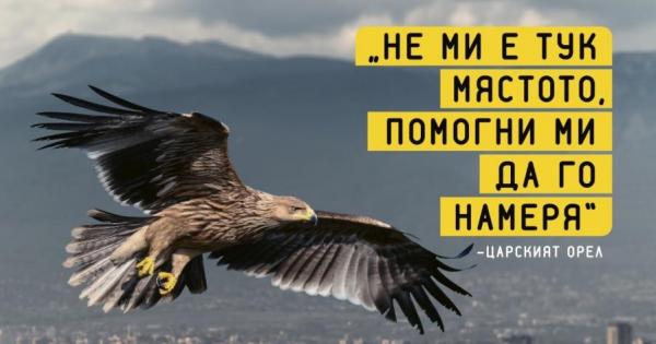 Знаете ли че България е сред страните с най голям дял