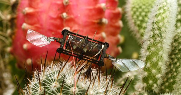 Вдъхновени от издръжливостта на земните пчели изследователите от Масачузетския технологичен