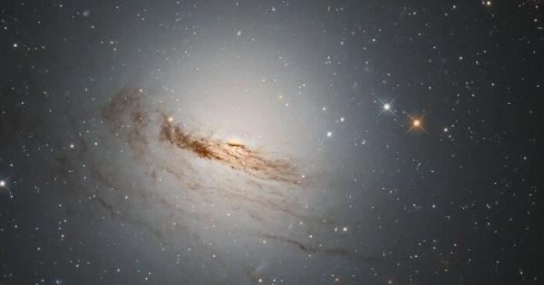 От най малките микроби до най могъщите дъбове – смъртта е неизбежна