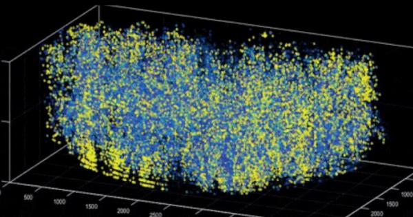 Учени успяха да наблюдават едновременно 1 млн различни неврона в
