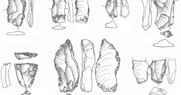 Ново откритие може да промени разбирането ни за миграцията на