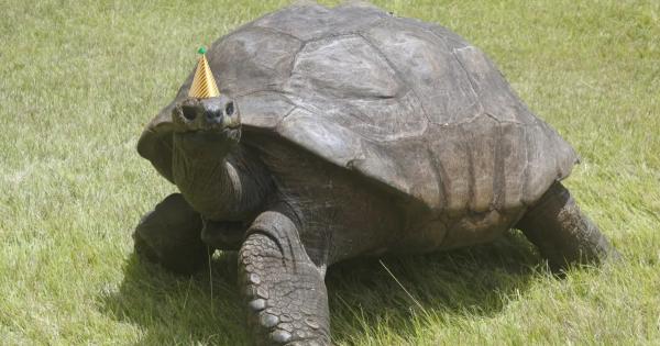 Джонатан – костенурката която през 2022 г разби официално рекордите