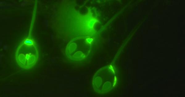 Някои истини за Вселената изглеждат неизменни Небето е над главите