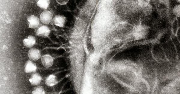 Досущ като началото на хорър филм – от леденото хранилище