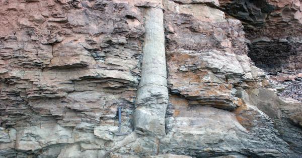 В пещерите на планината Байгун както и в района наоколо