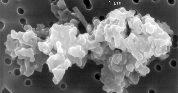 Възниква ли животът самостоятелно на различните планети в галактиката Или