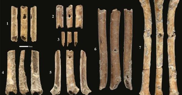 Израелски археолози се натъкнаха на най-старите духови инструменти, откривани някога