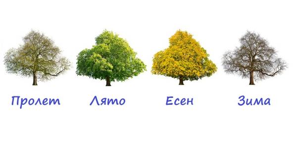 Пролет
Душата ви е пролет Мека нежна и светла С вас