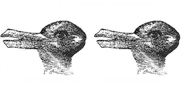 Вероятно сте виждали тази прословута оптична илюзия изобразяваща и заек