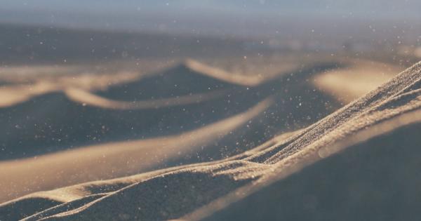 Песъчинките на плажа могат да разкрият много повече за историята