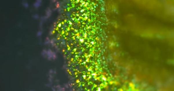 От сцинковете сияещи в различните цветове на дъгата до ослепителните