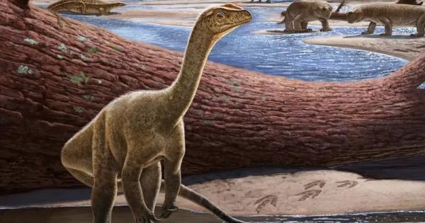 Международен екип от палеонтолози от Зимбабве Замбия и САЩ обяви че