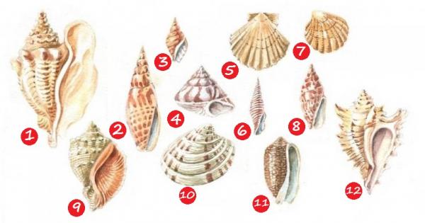 Затворете очи и вдишайте дълбоко Представете си че се намирате