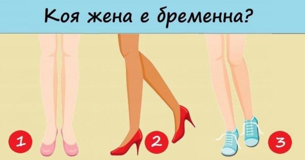 1 В една кошница имало 4 ябълки 4 деца си