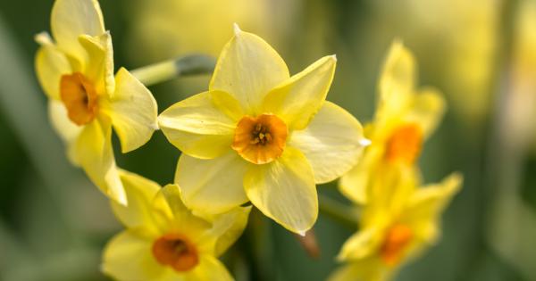 Много хора си мислят че никога няма да сбъркат ако