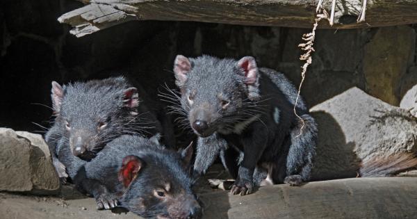 Имате ли приятели в живота си които познавате от съвсем