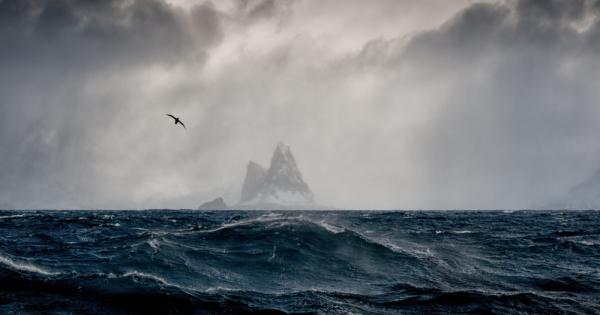 Изследване на екип под ръководството на проф Морияки Ясухара и