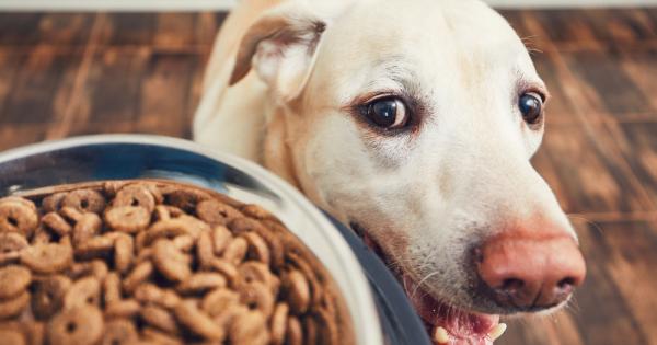 Всяко куче е различно и неговите хранителни изисквания включително типът