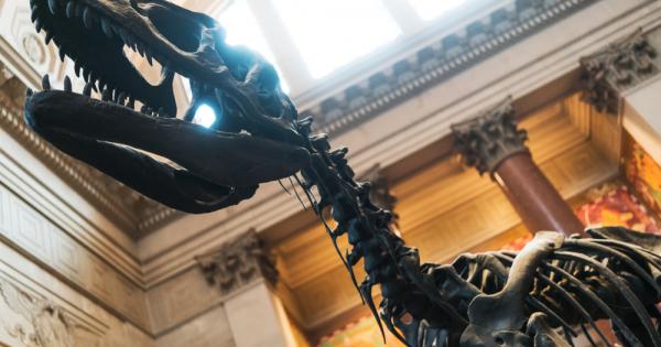 В средата на март тази година палеонтолози от аржентинския Природонаучен