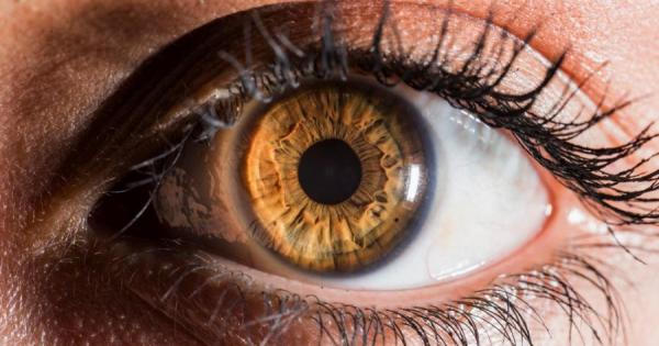 Загубата на периферно зрение увеличава риска от автомобилна катастрофа съобщи