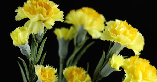 Много хора си мислят че никога няма да сбъркат ако