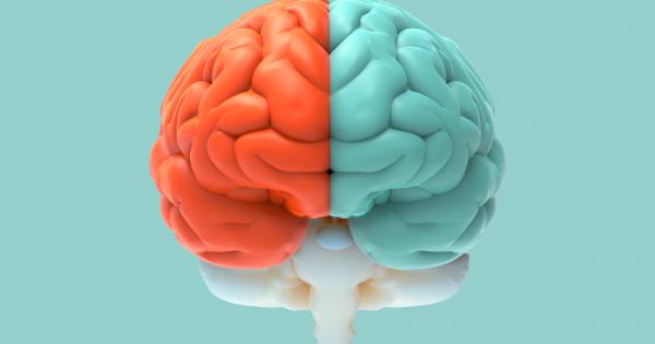 Съществува версия че мъжкото и женското поведение се определят от