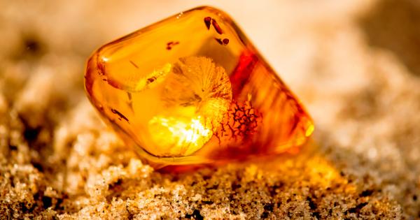 Кехлибарите като този на върха на бастуна на д р Джон