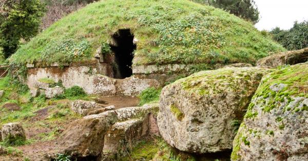 ДНК доказателства най накрая сложиха край на дебата за произхода на