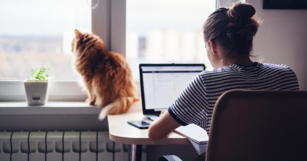 Дистанционното обучение на студентите което стана норма от началото на