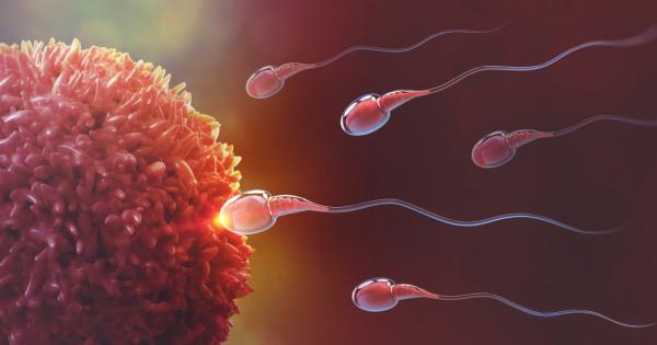 Сперматозоидите са ключови за оплождането на почти всеки един жив