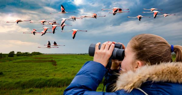 Колежаните и студентите които искат да подобрят психичното си здраве